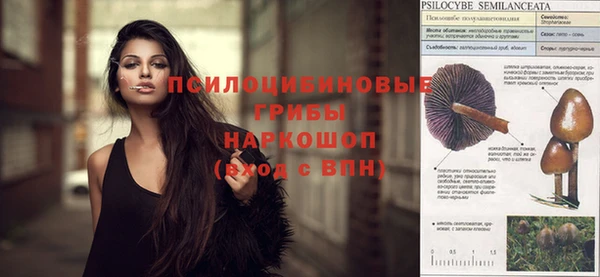 не бодяженный Алзамай
