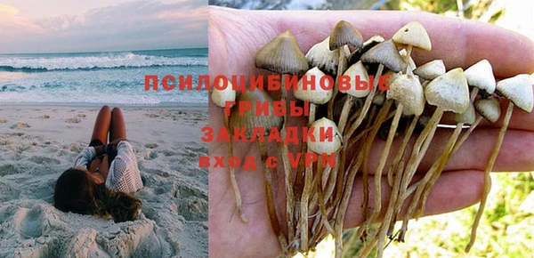 прущий лед Алексеевка