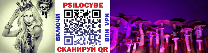 Галлюциногенные грибы мухоморы  где можно купить наркотик  Дорогобуж 